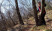 33 Sul sent. 152 nel bosco di prevalenti carpini neri